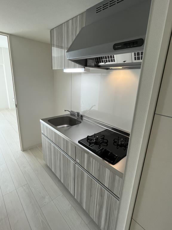 ヴィッラ アプリーレ 西新南 その他11