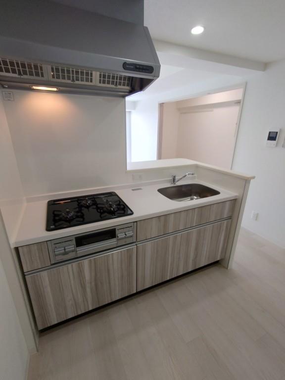 パークゲート栄白川 キッチン