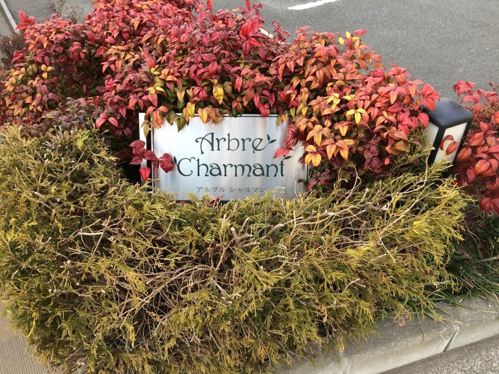 アルブルシャルマン その他5