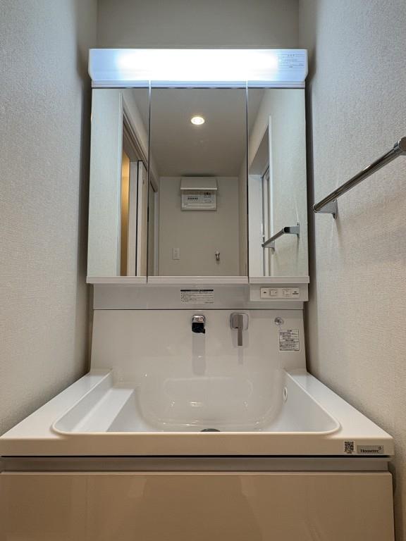 ガレリア上鷺(ガレリアカミサギ) その他1