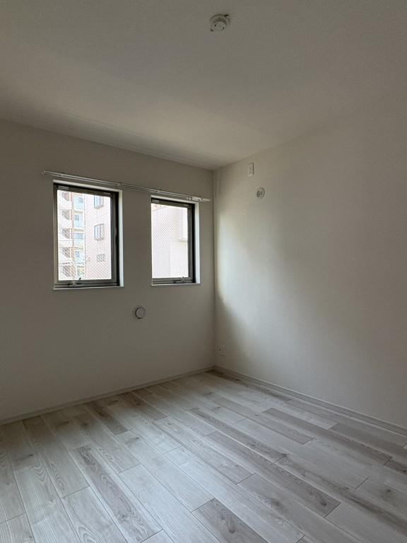 ガレリア上鷺(ガレリアカミサギ) その他13