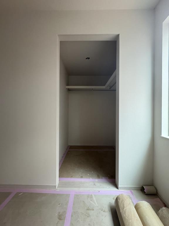 ガレリア上鷺(ガレリアカミサギ) その他1