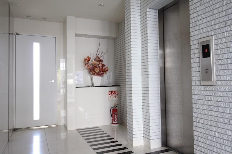 ドルフシィア その他14