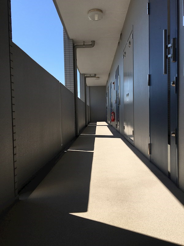 ヴァン・ベール その他20