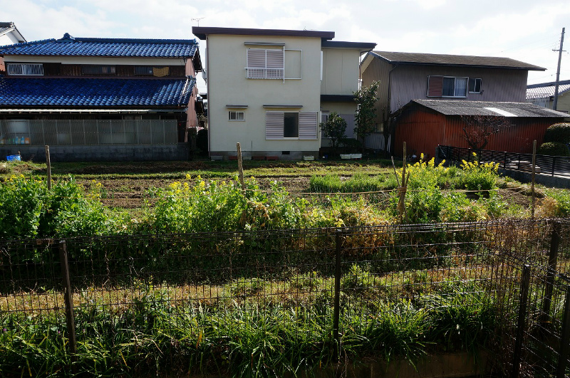 ジュネス山元 その他5