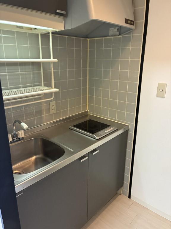 モア・ハナノキ キッチン