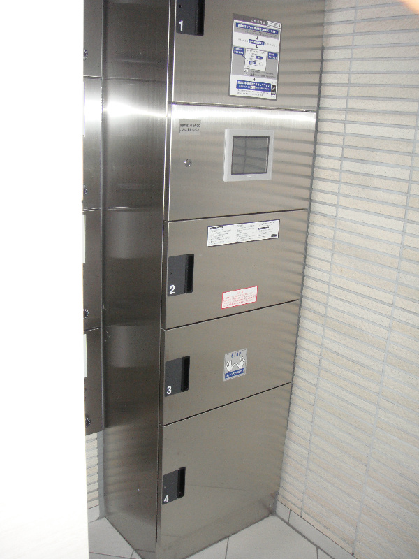 槻（ケヤキ） その他外観3