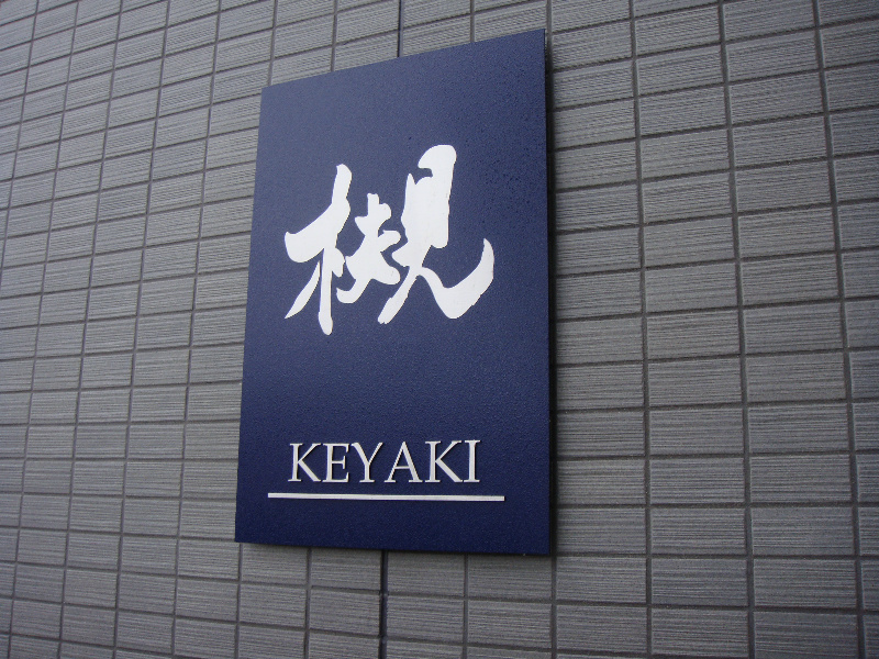 槻（ケヤキ） その他外観4