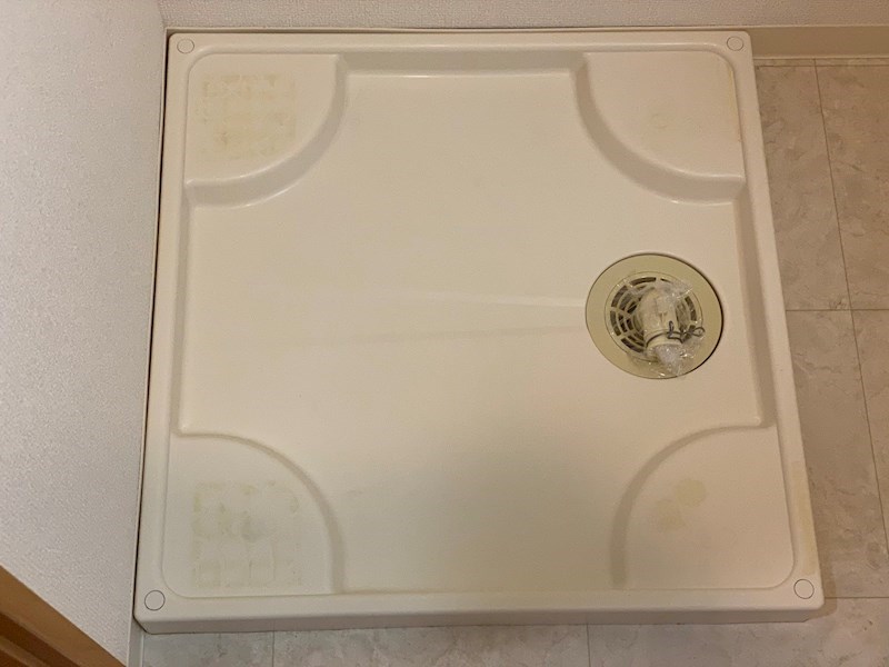 ファシルカワト その他11