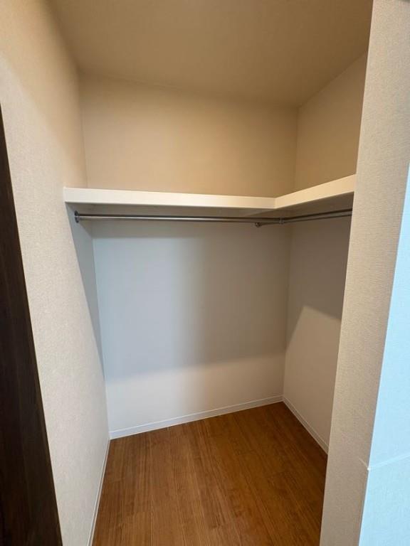 Morris芝 その他9