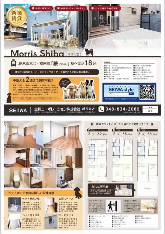 Morris芝 その他17