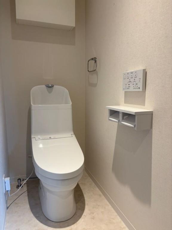 Morris芝 その他8