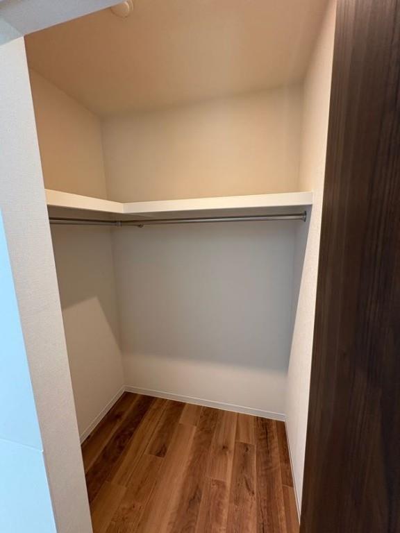 Morris芝 その他13