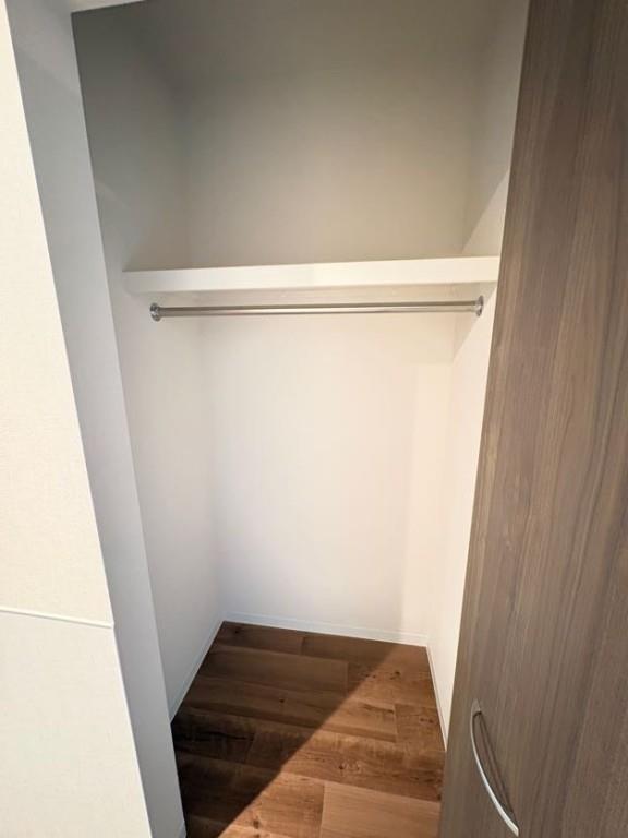 Morris芝 その他14