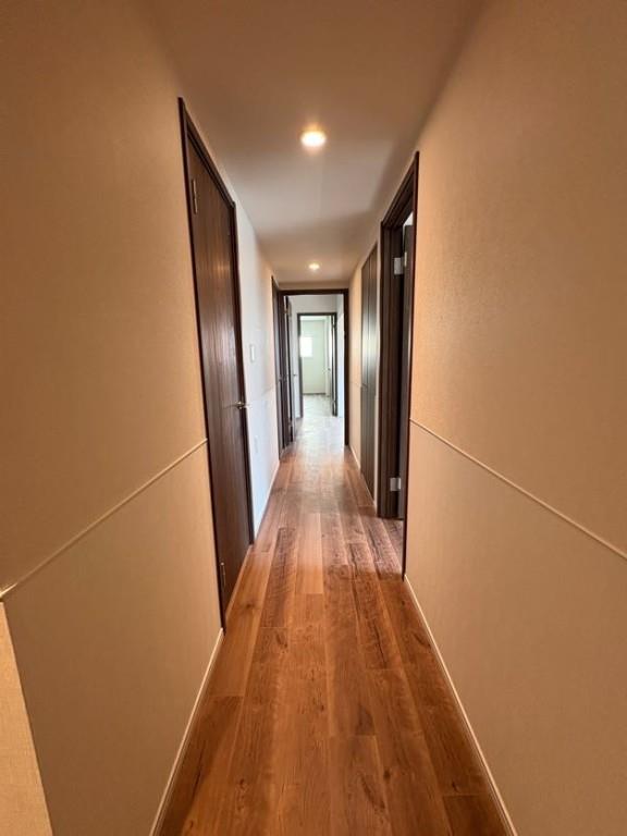 Morris芝 その他17