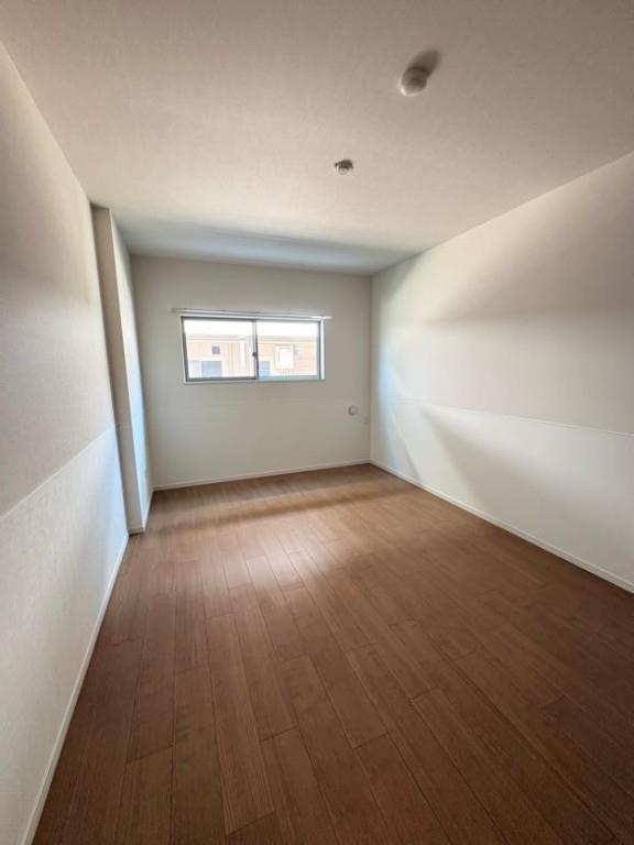 Morris芝 その他14