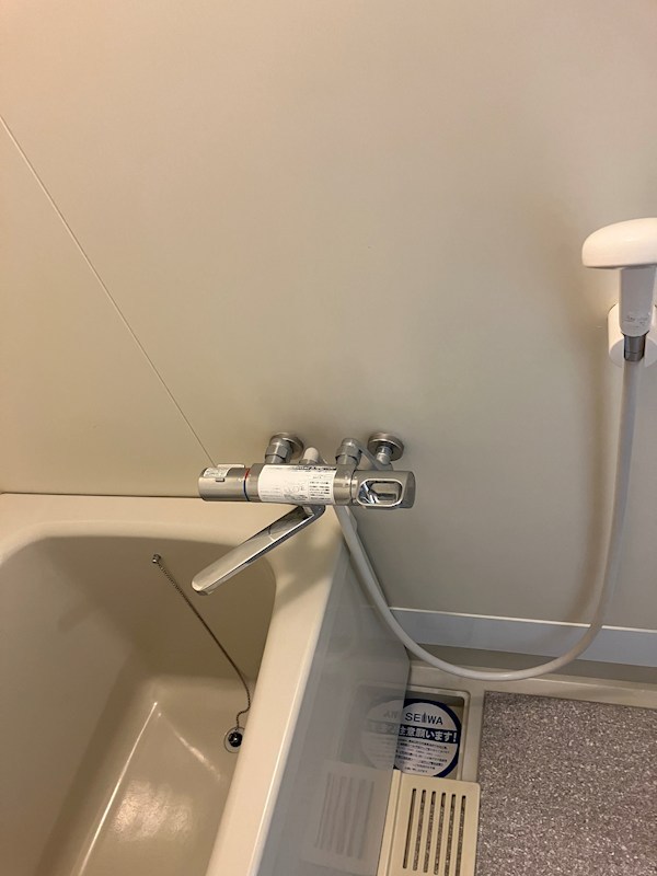 シャルマン・シェソワ その他6