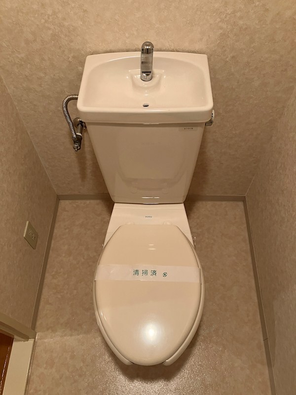 シャルマン・シェソワ その他2