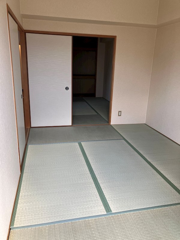 シャルマン・シェソワ その他10