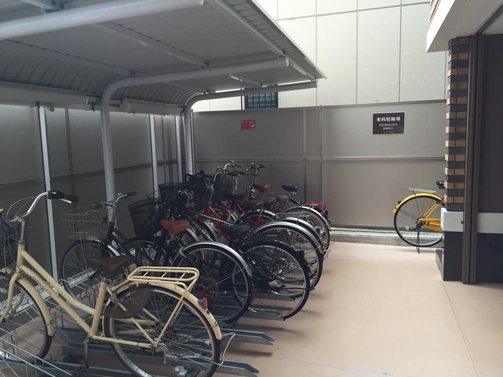 セイワパレス玉造 その他9