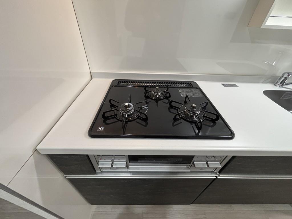 ファンファーレ黄金 その他12