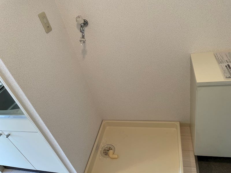 イスタナフセ その他5