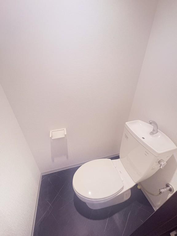 ル－セントピュアⅡ その他8