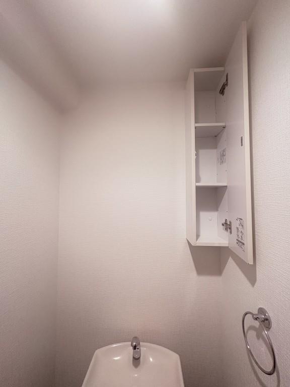 ル－セントピュアⅡ その他9