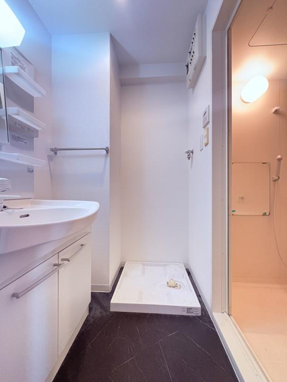 ル－セントピュアⅡ その他10