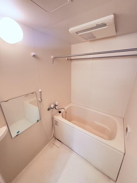 ル－セントピュアⅡ その他19