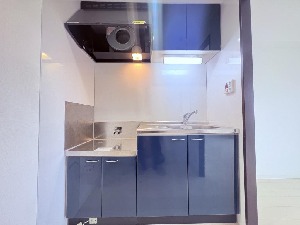 ル－セントピュアⅡ その他20