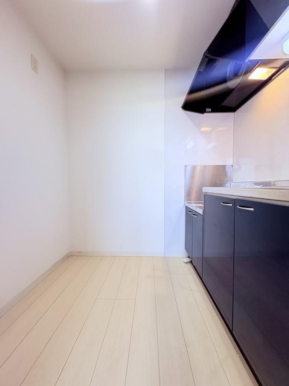 ル－セントピュアⅡ その他21