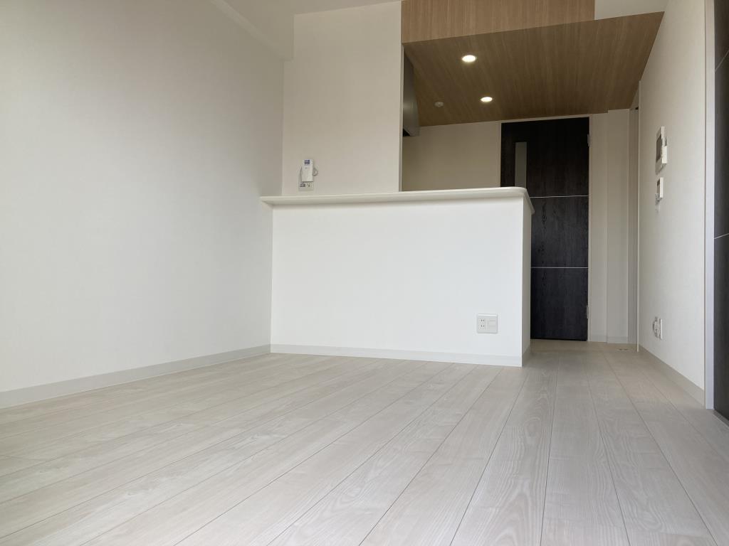 メゾン・ド・リエール博多 リビング