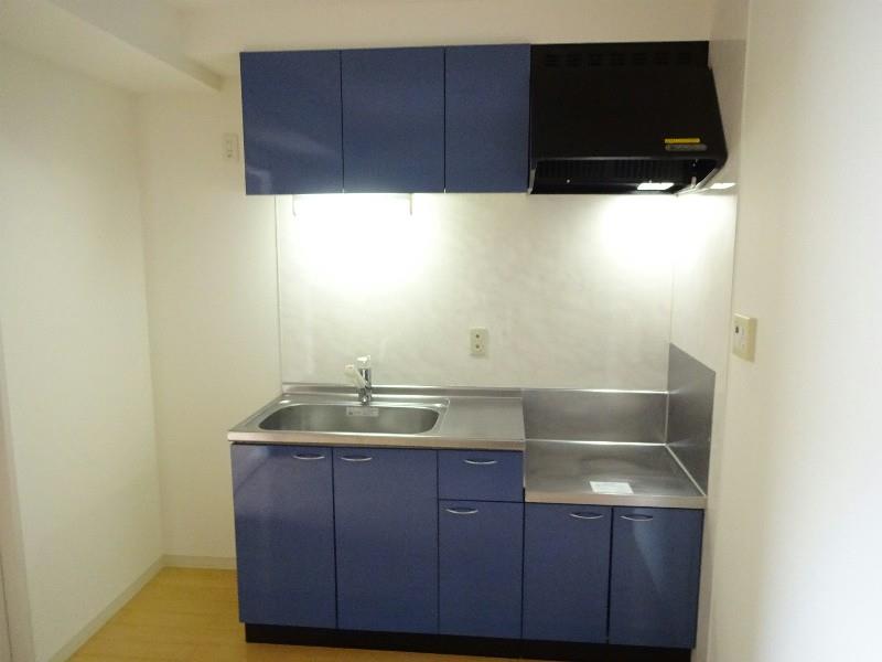 サクシード胤 キッチン