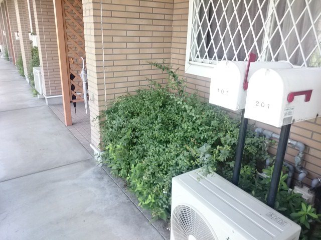 LAND PARK 横大路 B棟 その他外観5