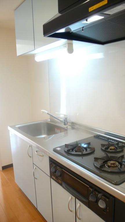 ベルパラーゾ シロカネ キッチン