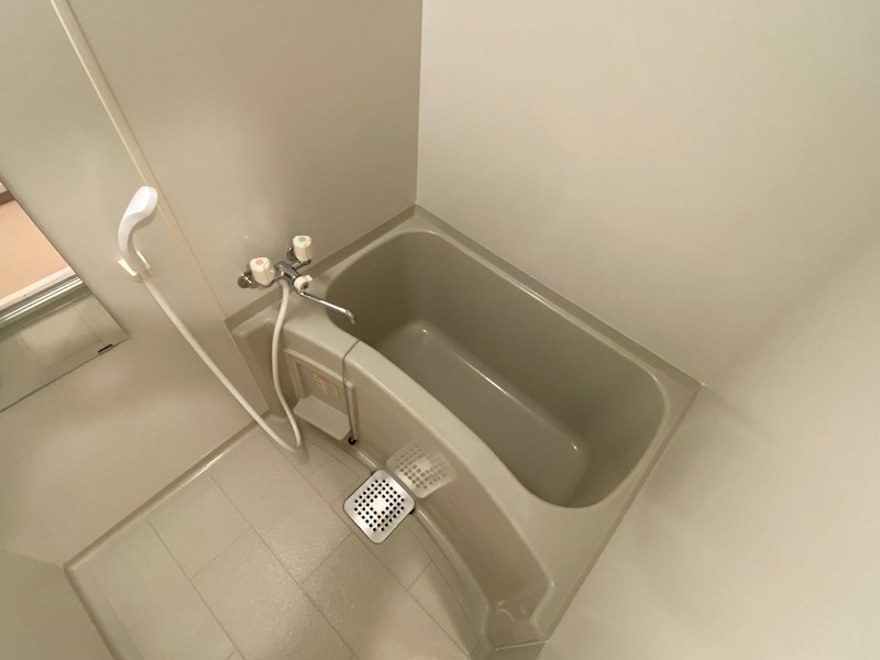 スカイビュー宝泉 風呂画像