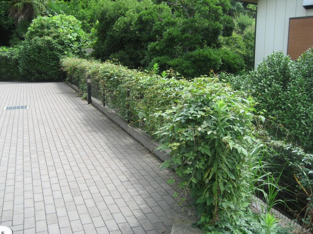 エノ・エリタージュ その他20