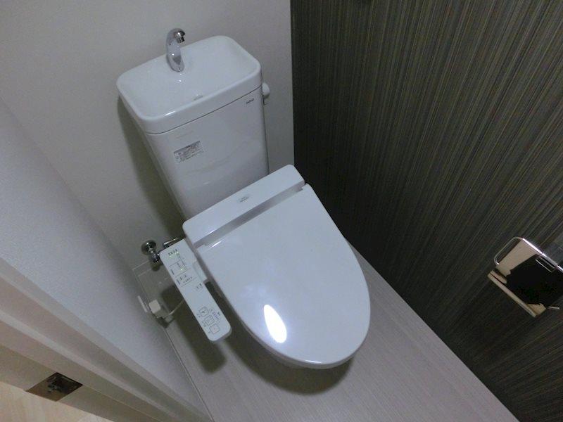 マイコスモス その他7