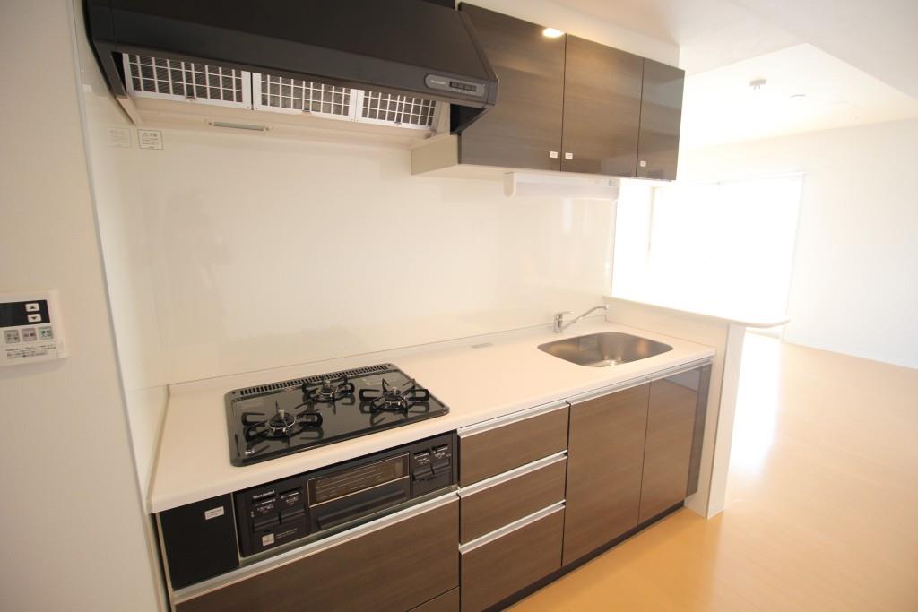 グランイースト田原町 キッチン