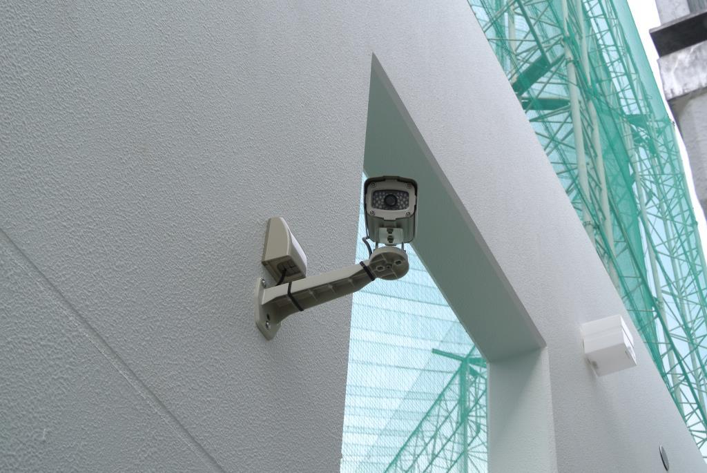 ツルマキロジ その他2