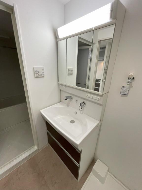 ヴェルドミール その他2