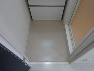 ロイヤルピジョン ライズ その他3