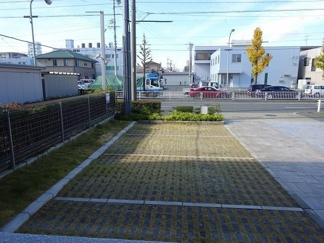 ロイヤルピジョン ライズ その他5