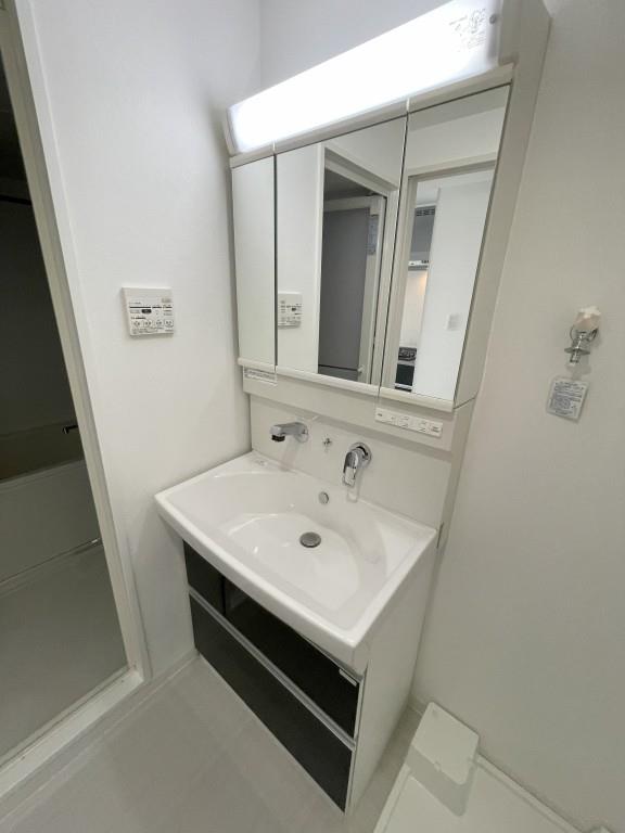 ヴェルドミール その他2