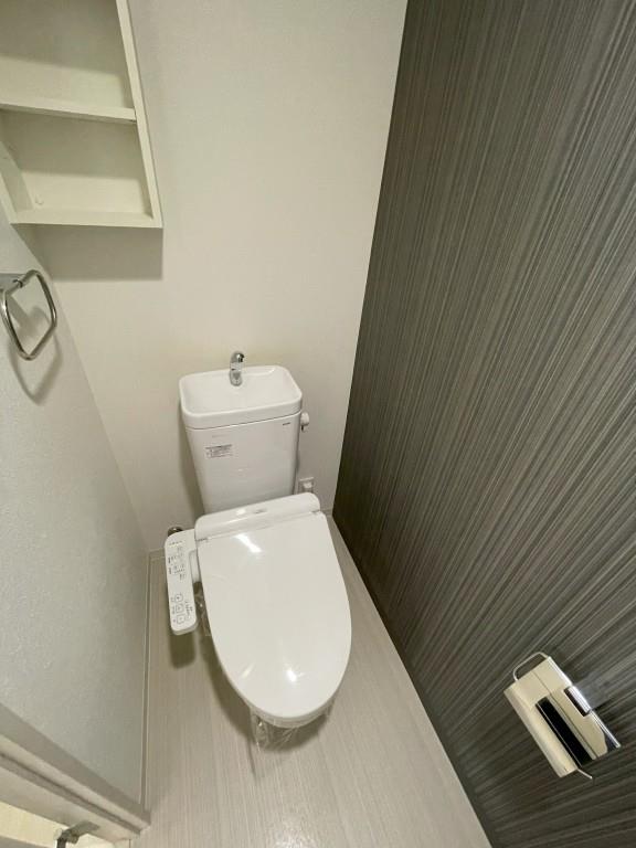 ヴェルドミール その他1