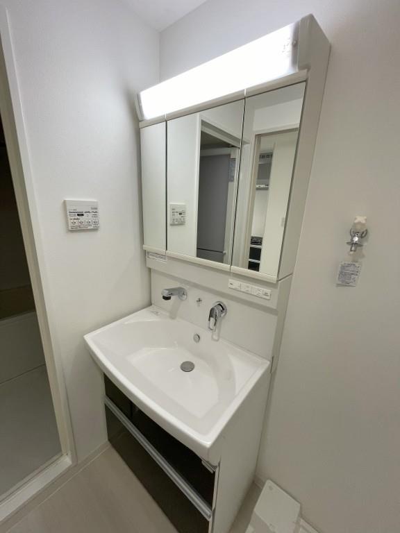 ヴェルドミール その他2