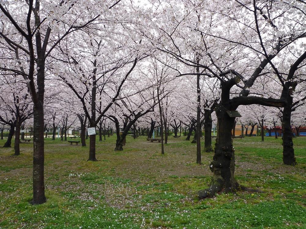 フェリーチェ城北公園 周辺画像1