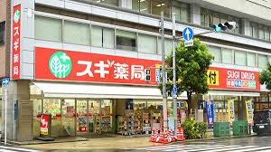 セイワパレス長堀南 周辺画像6