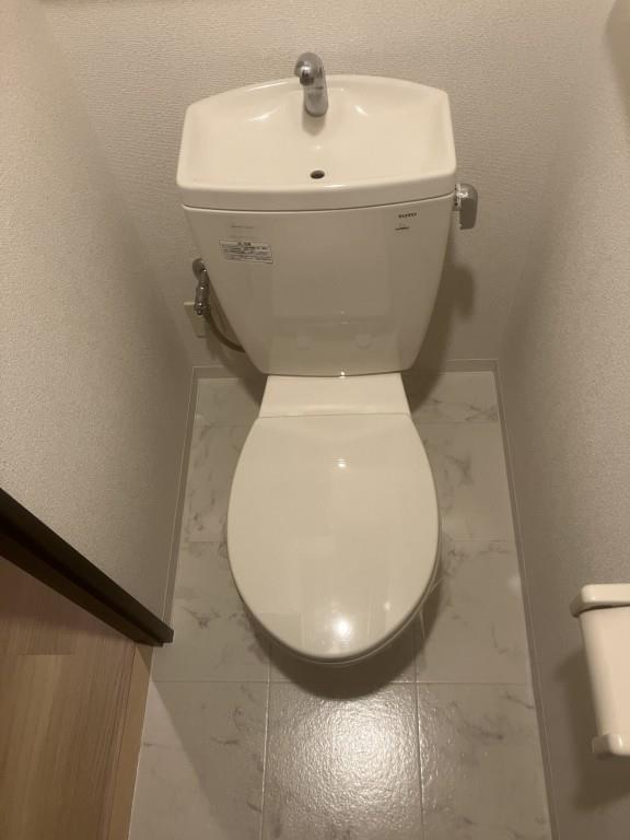 エバーフェニックス その他7